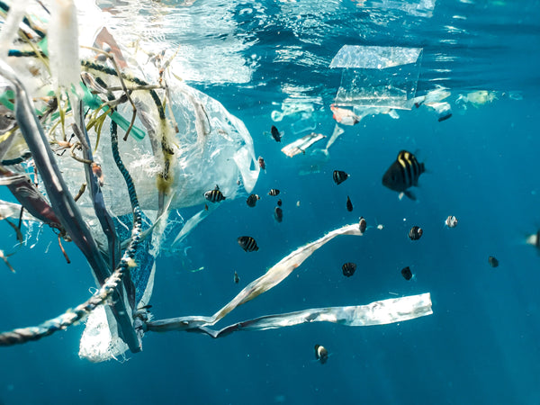 Plastics Are Destroying The Oceans