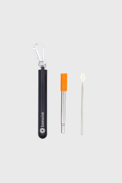 Reusable Collapsible Straw | Black case